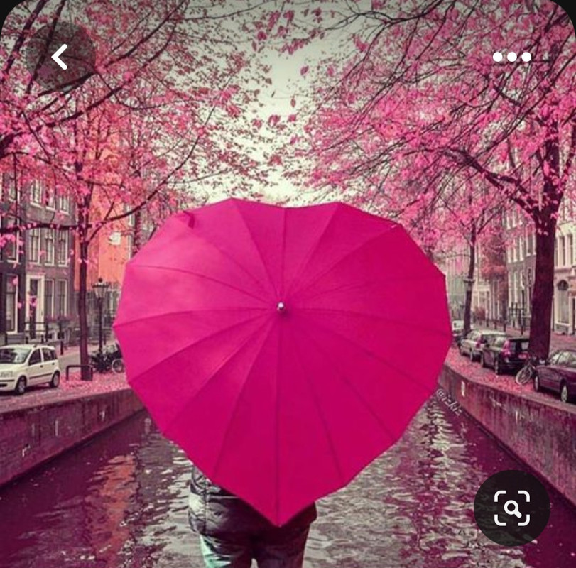 Screenshot_20230614_003854_Pinterest