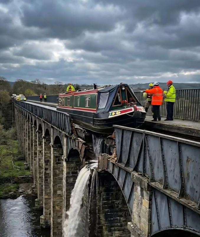 595113632 10166585692578502 1835227375203655860 n