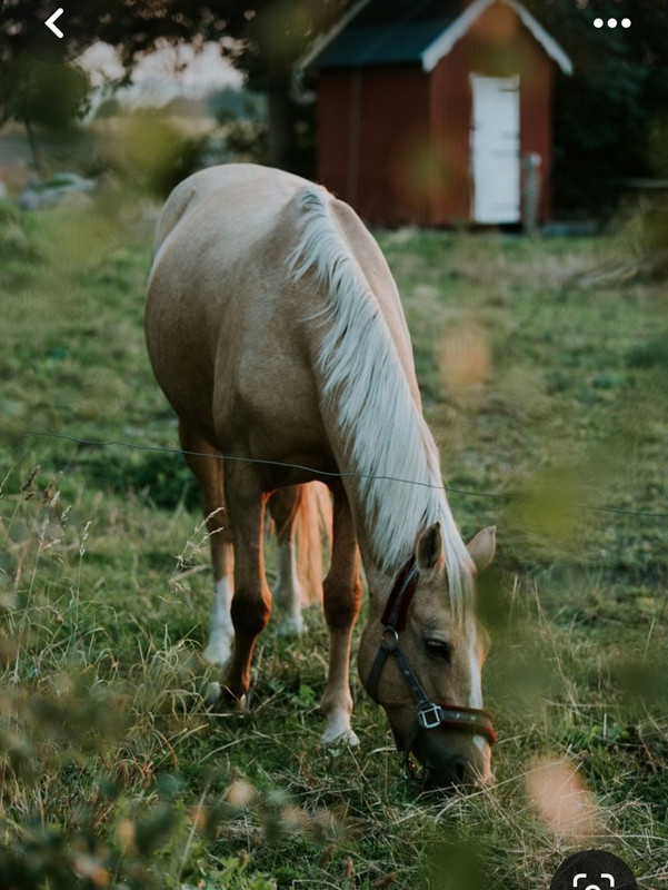 Screenshot_20231112_162640_Pinterest