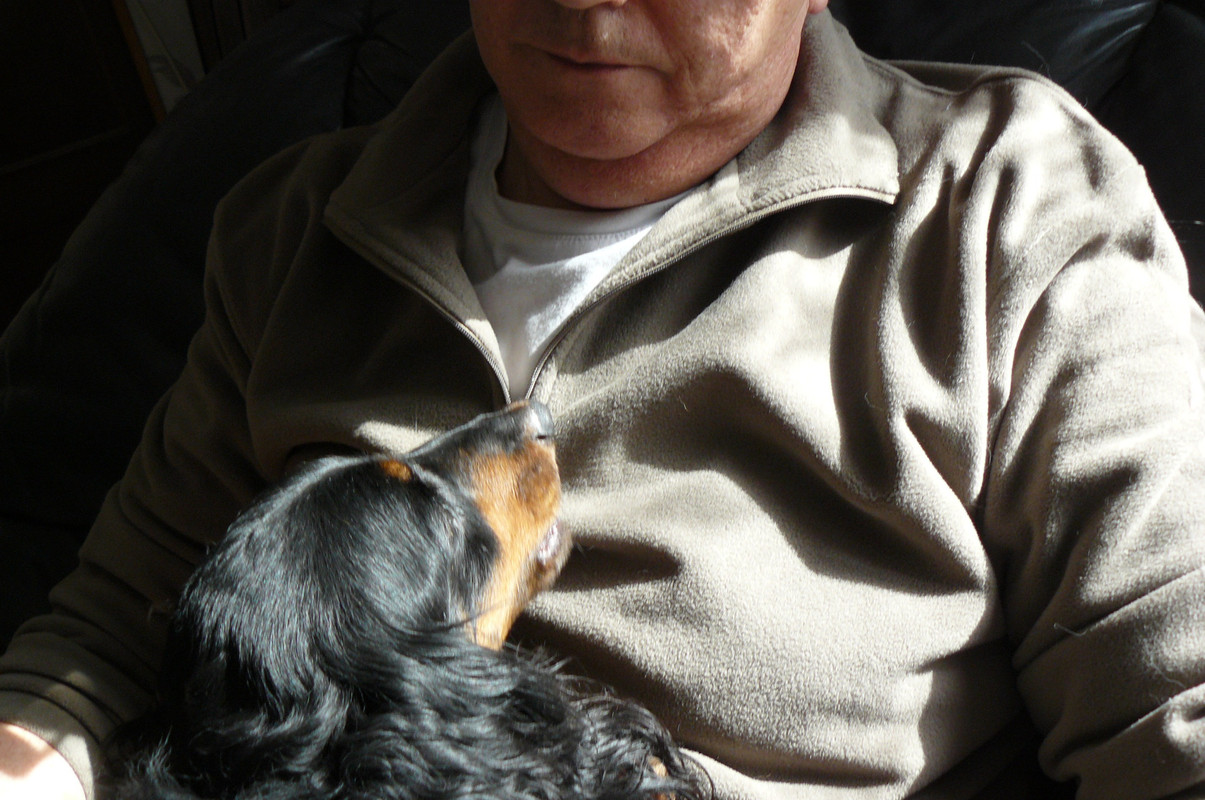 [Image: P1240667.jpg]