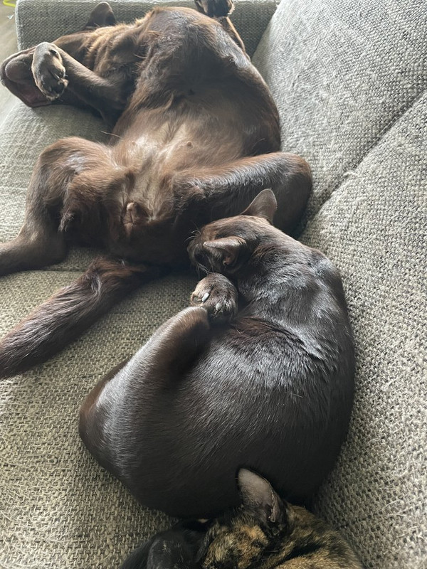 907B5C2C-1F45-4658-A645-AE855E0EB5D4