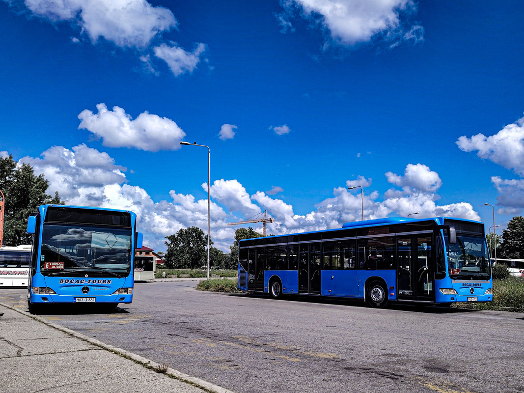 IMG_20240704_100202_edit_51129442350129 (1)