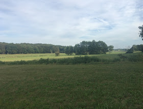 IMG-1784.jpg