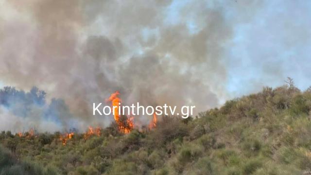 [Image: sofiana-korinthos-fotia-korinthostv-gr-1200x675.jpg]
