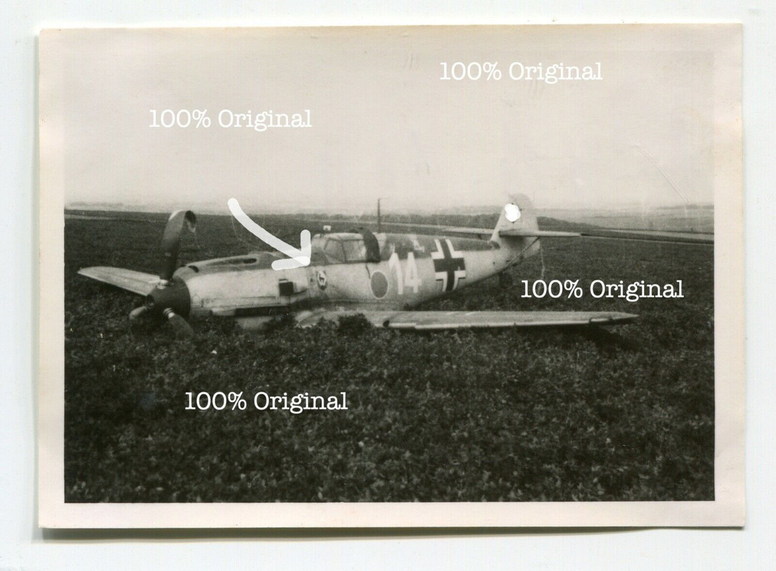 Foto Frankreich abgestürztes Flugzeug Me109 Bf109 Staffelwappen 