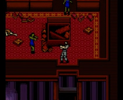 gaiden.jpg