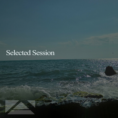 VA - Selected Session (2024) MP3