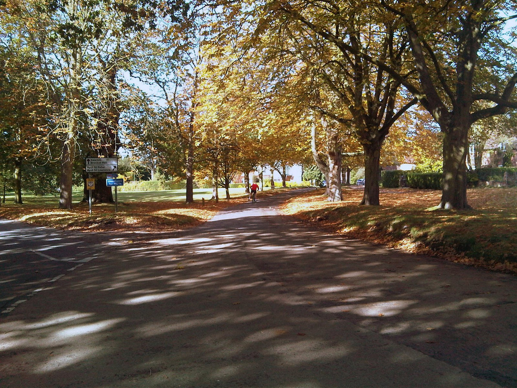 IMG00014-20121012-1249.jpg