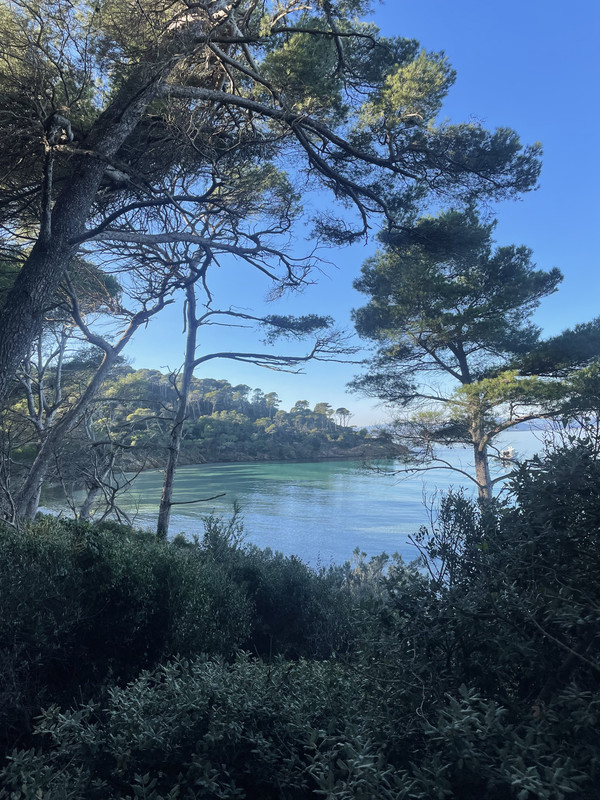 B5D4C09C-10AD-4407-9443-8D2229B07BF7