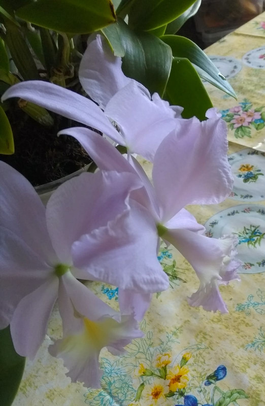 9eb5d9a8-ed8c-4d02-9beb-a72077bb3fe4