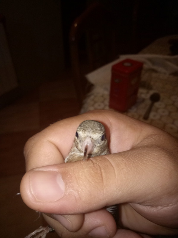 IMG20180915175615