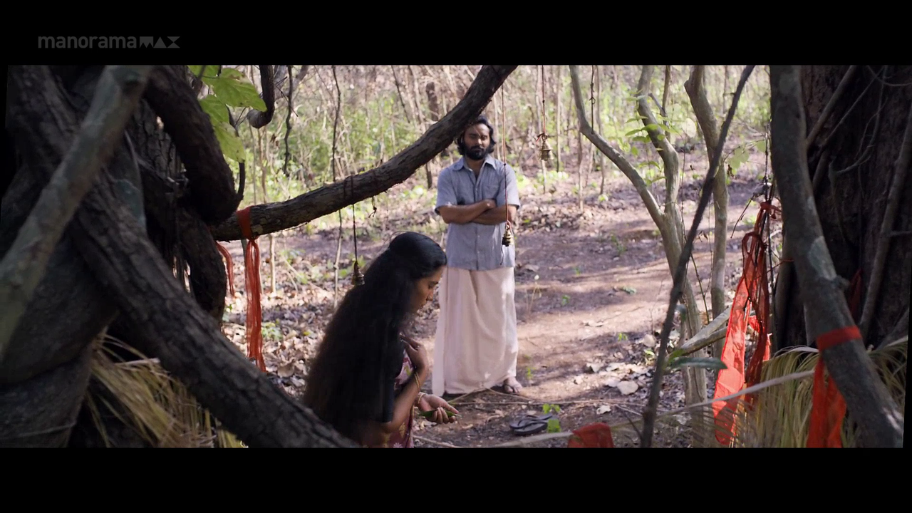 vlcsnap 2026 02 06 18h01m57s303