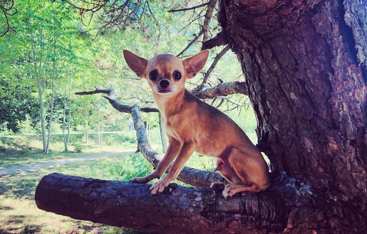 B8CD9DEB-5949-4510-AF11-2D544F6441CC