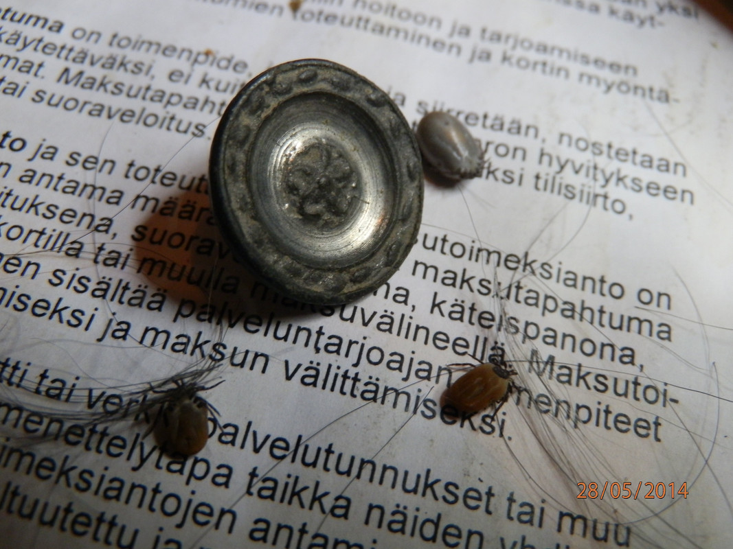 kesäkuu 14 012