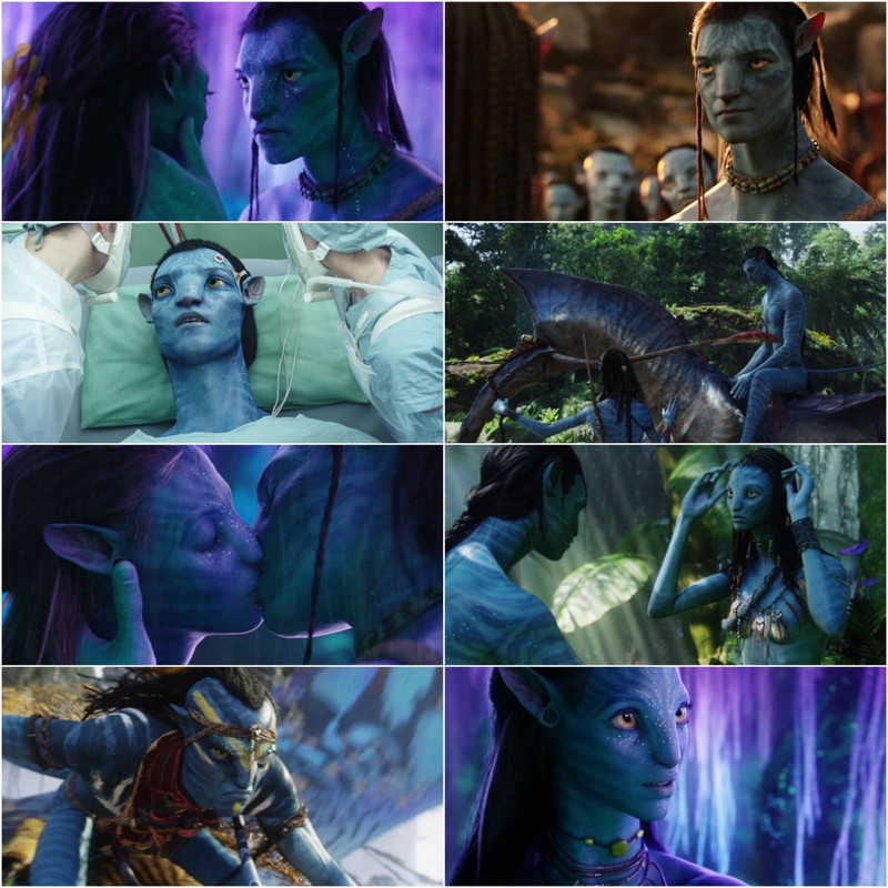 Avatar (2009) Extended Dual Audio [Hindi & English] Full Movie BluRay ESub screenshot