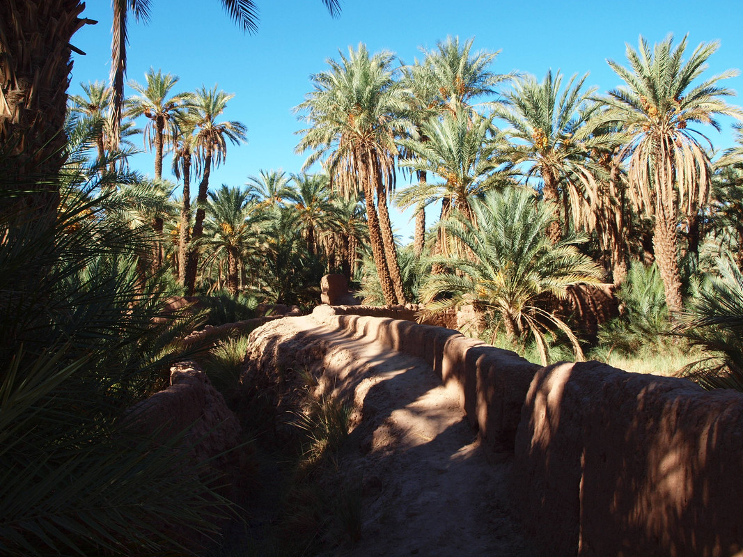 El Valle del Drâa, la gran arteria del sur de Marruecos - Blogs de Marruecos - Introducción (4)