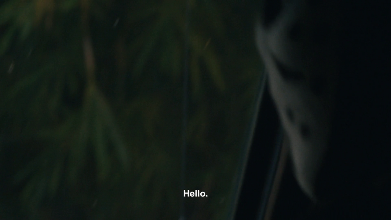 vlcsnap 2025 11 05 23h46m42s866