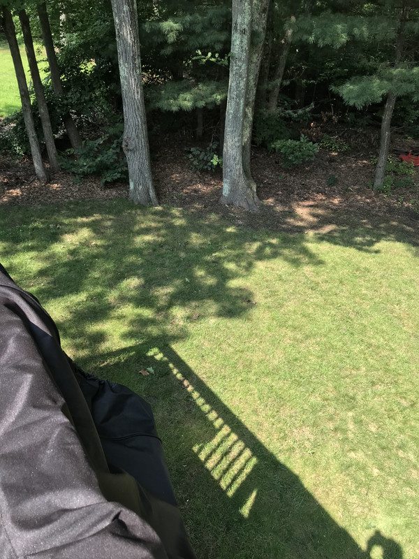 28A14C30-D85B-420D-87D2-9BF9844492C1