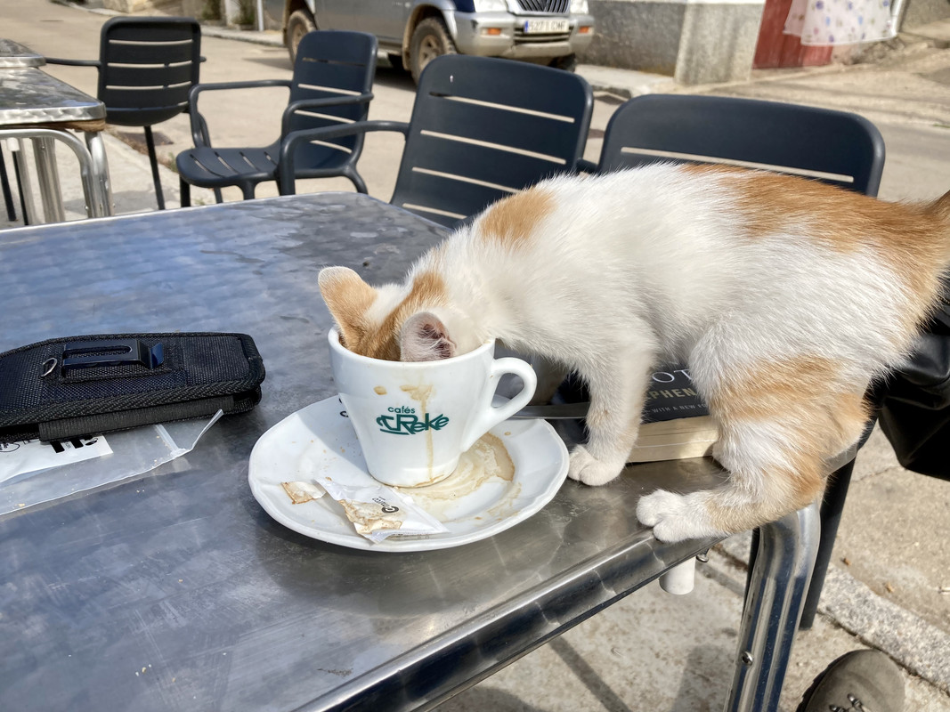 2E08B3DE-443F-45A8-A395-1E675FEB9CE6