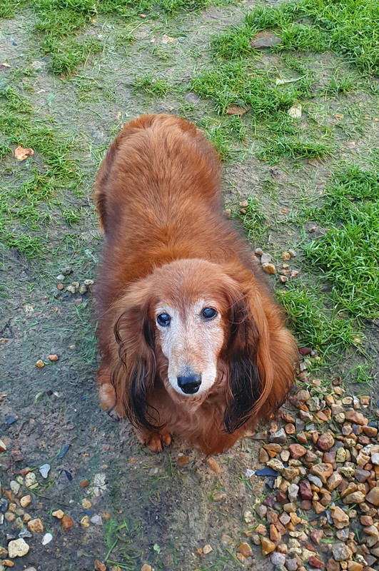 [Image: 20221127-154317.jpg]