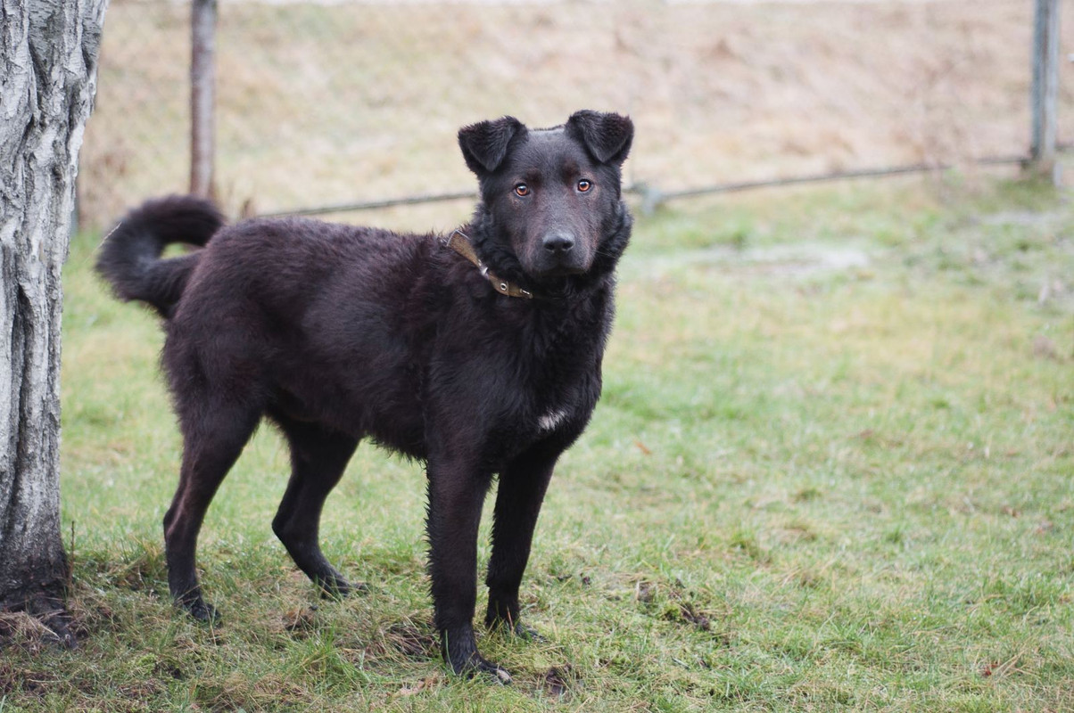 IMG-44857954b6fc1db81b8f24669e98e7b5-V