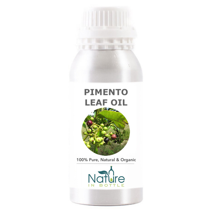 Pimento Allspice Leaf Essential Oil Organic Pimenta Dioica