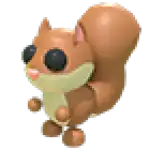 Red Squirrel