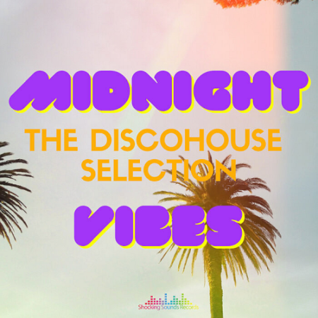 VA - Midnight Vibes The Disco House Selection (2021)