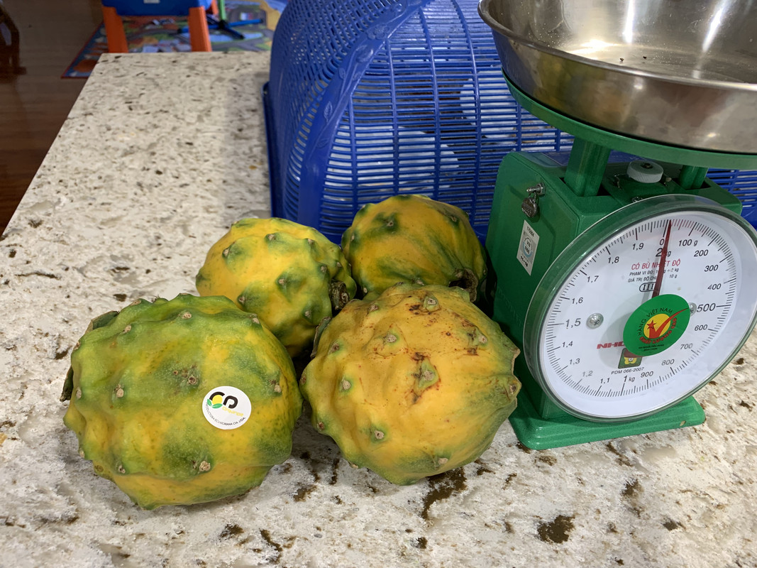 19289010-44C9-465A-B841-E3FCB9467870