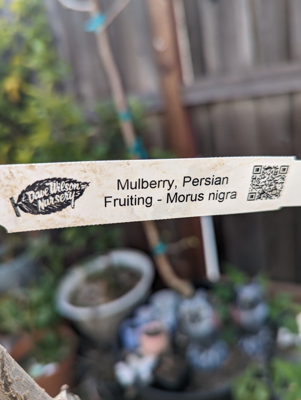 PXL_20240411_010617554 - Copy