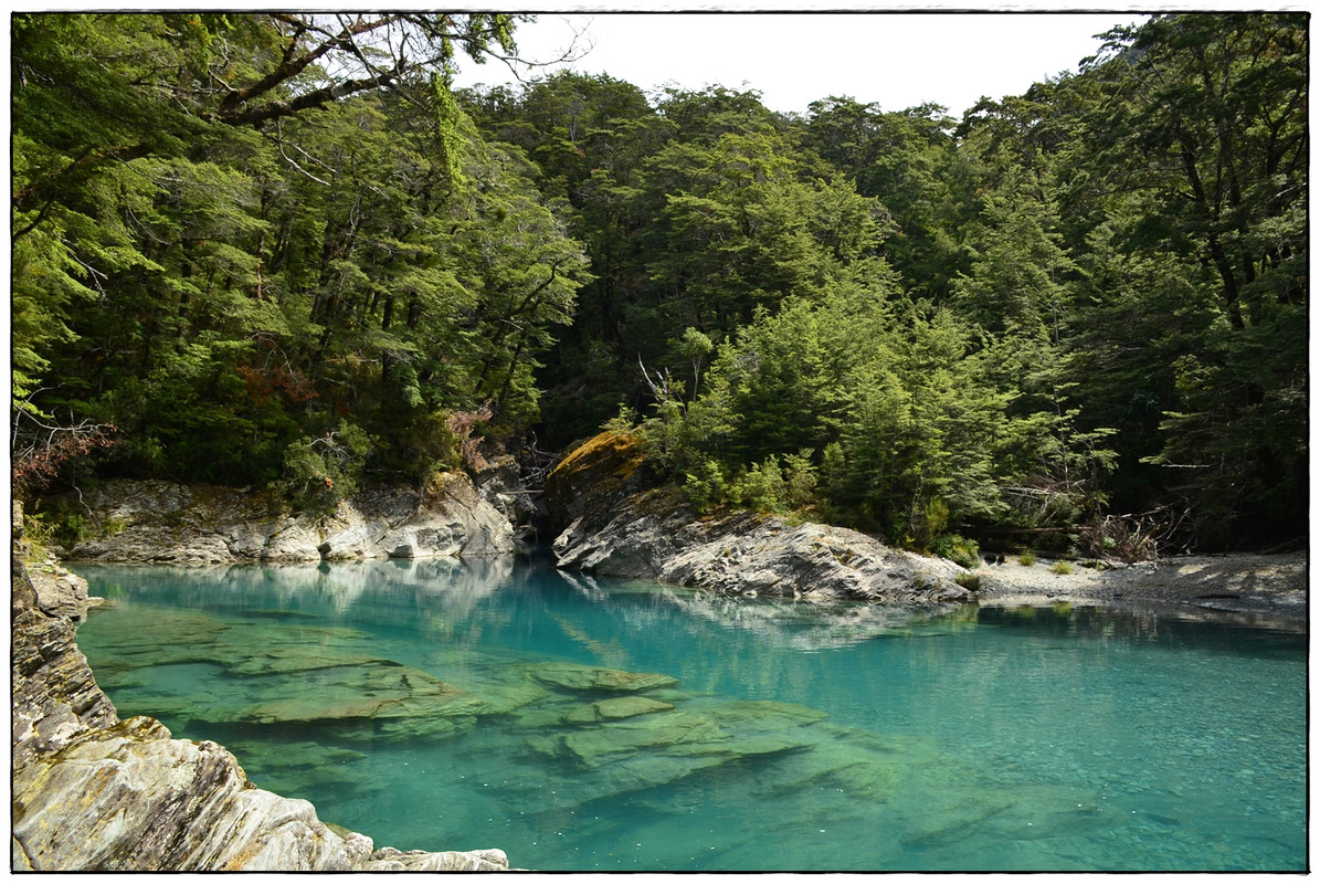 ¿Lo mejor de la isla Sur en 9 días? (Navidad 2018) - Escapadas y rutas por la Nueva Zelanda menos conocida (12)