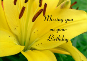 missing-you-on-your-birthday-yellow-daylily-card-rfc15cab5402645e6973cef0d92eff203-xvuak-8byvr-324(1