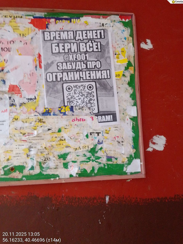 photo 2025 11 20 19 59 42