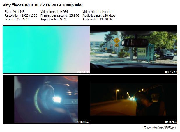 Vlny života / Waves (2019)