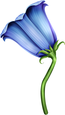 KBK_InTheSpring (118)