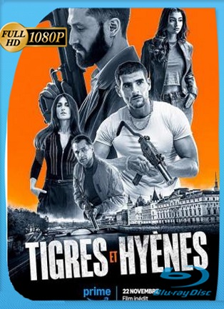 Tigres y hienas (2024) Webdl [1080p] Dual Latino [GoogleDrive]