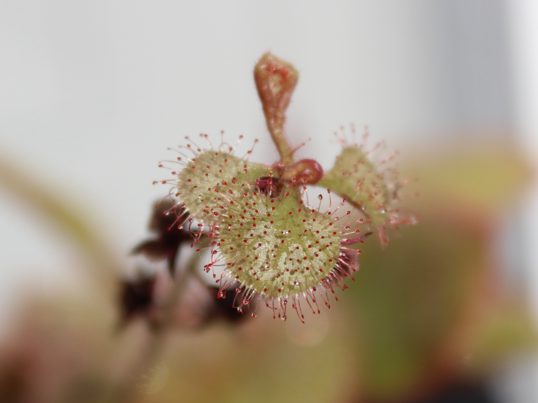 ABBD6F48-C854-41A5-8A67-EE6538D0DE7D