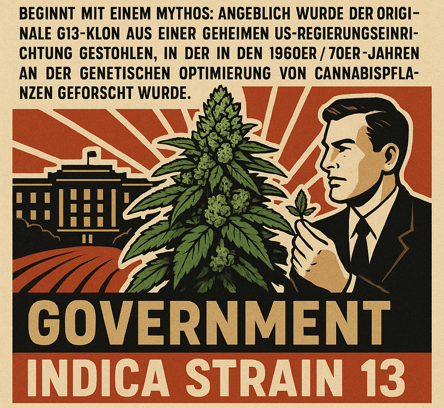 Die Legende von G13
