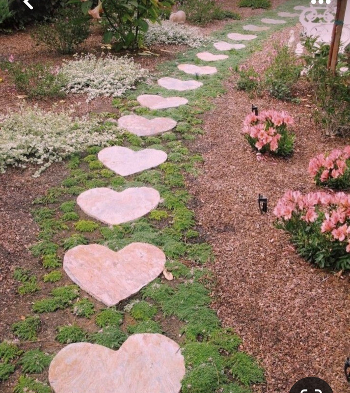 Screenshot_20240212_002006_Pinterest