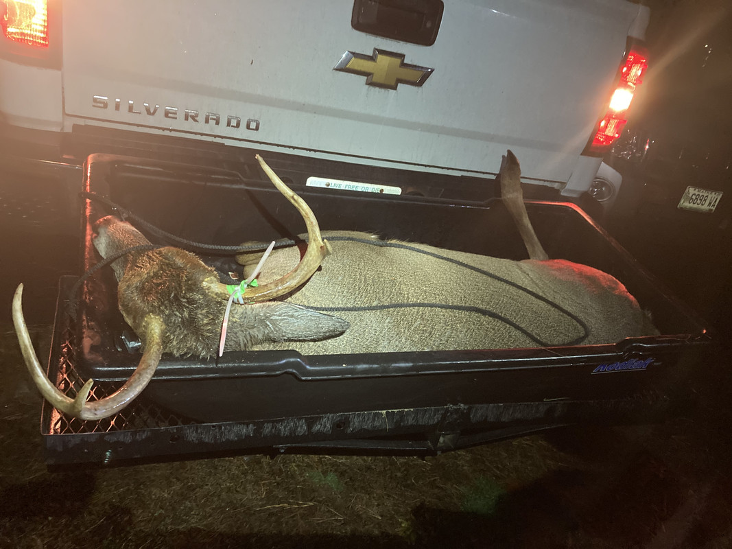 6AFC345A-0587-4CF4-A4E6-9141D007AE02