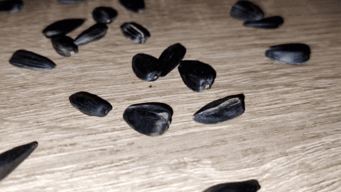 GIF-20250621-191115-939.gif
