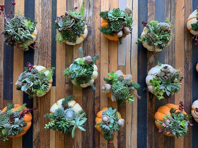 [Image: D9-B4-CCAF-E972-4-B1-F-BBE8-81-AFE72-EB7-F4.jpg]