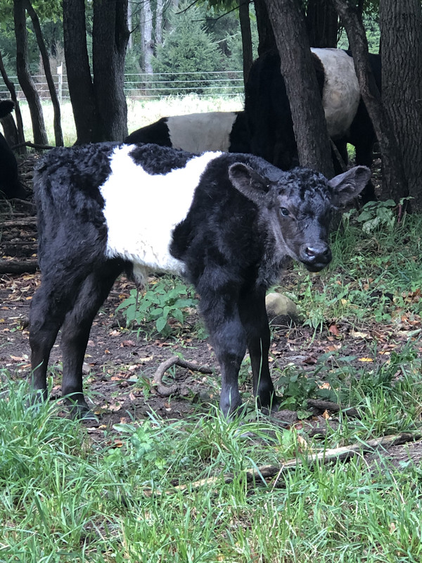 C81DD4A1-0C44-4DDE-823B-05B6099B18A0