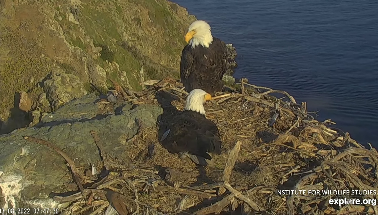 23BECB73-4FAF-4976-B9C2-8C6733988F50