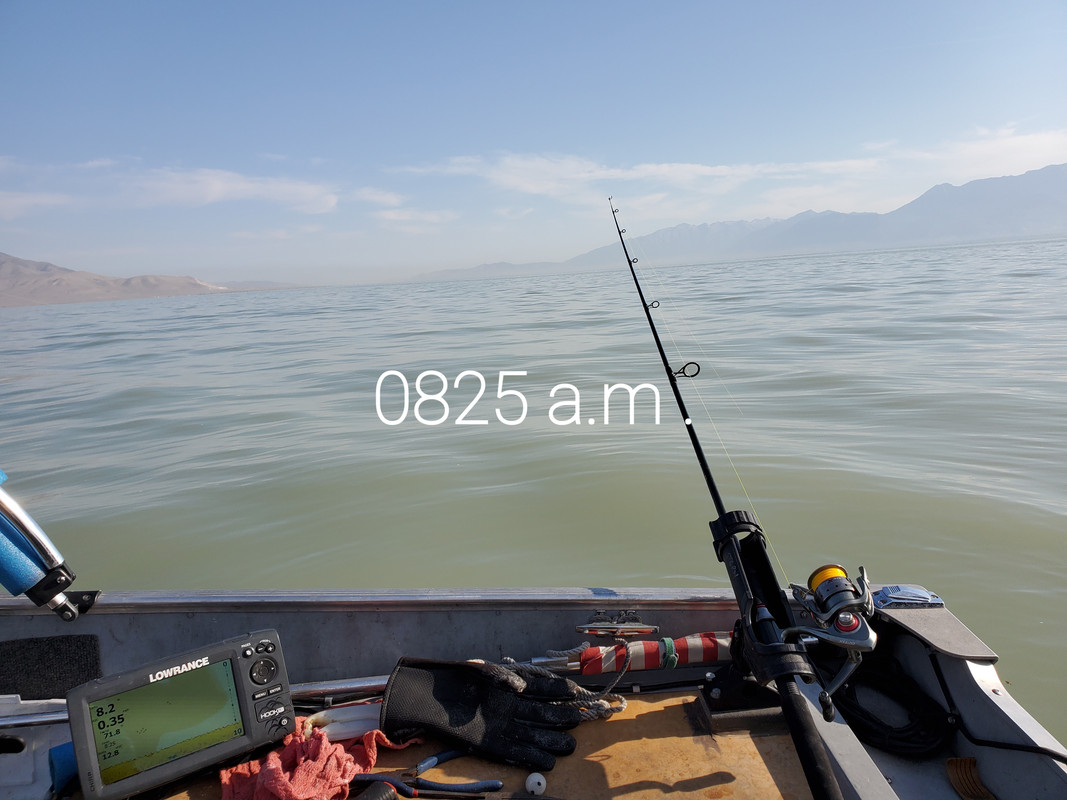 (030) 0825 a.m.