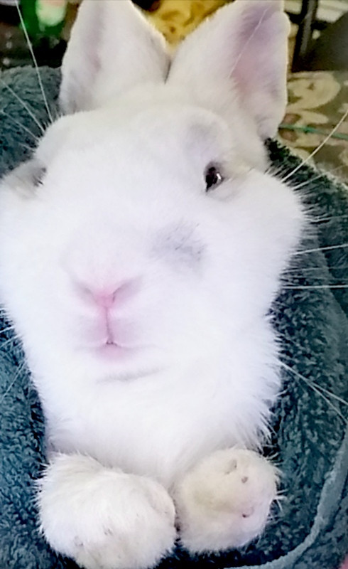 IMG_٢٠٢١٠٥٢٩_١٦٣٥٥٦