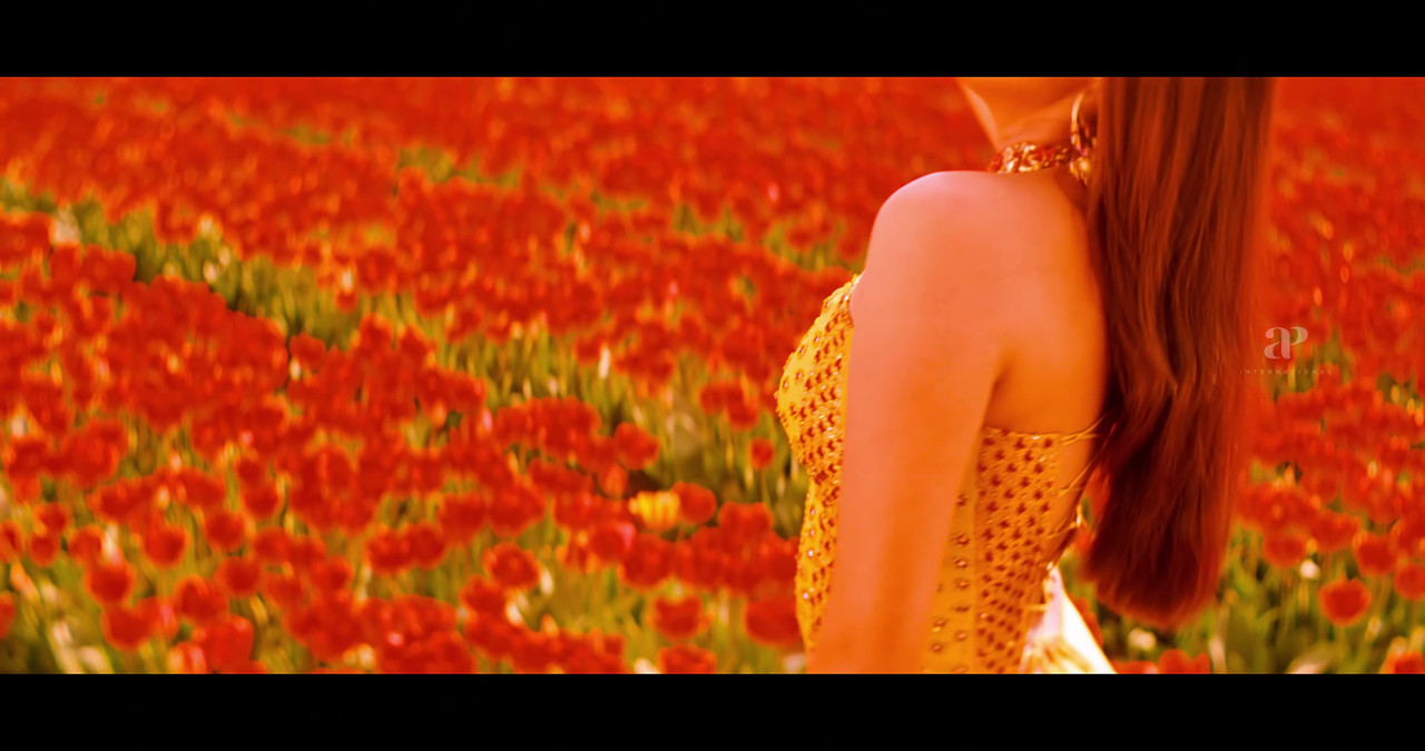 VideoCapture_20241122-200053