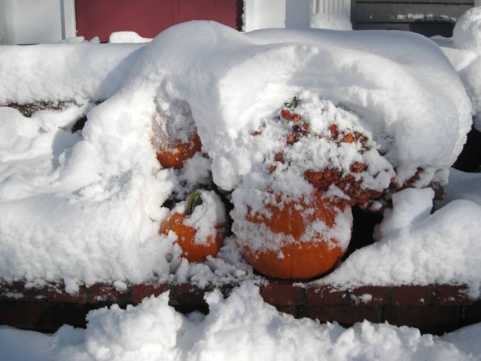 F939870C-D905-4A66-99FB-E44402E67E60