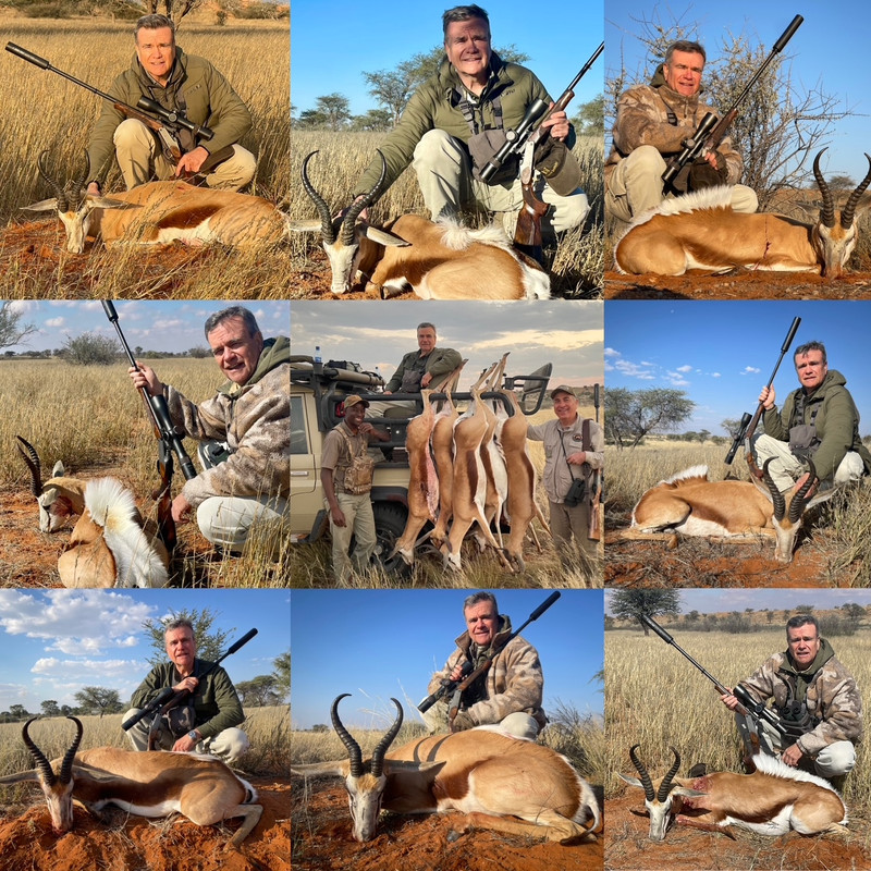 springbok2026