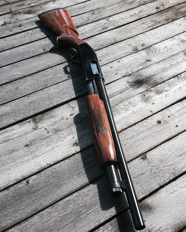 8AD0C18B-3826-476A-8BC4-C0E774CC24FD